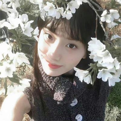 我从不哭泣